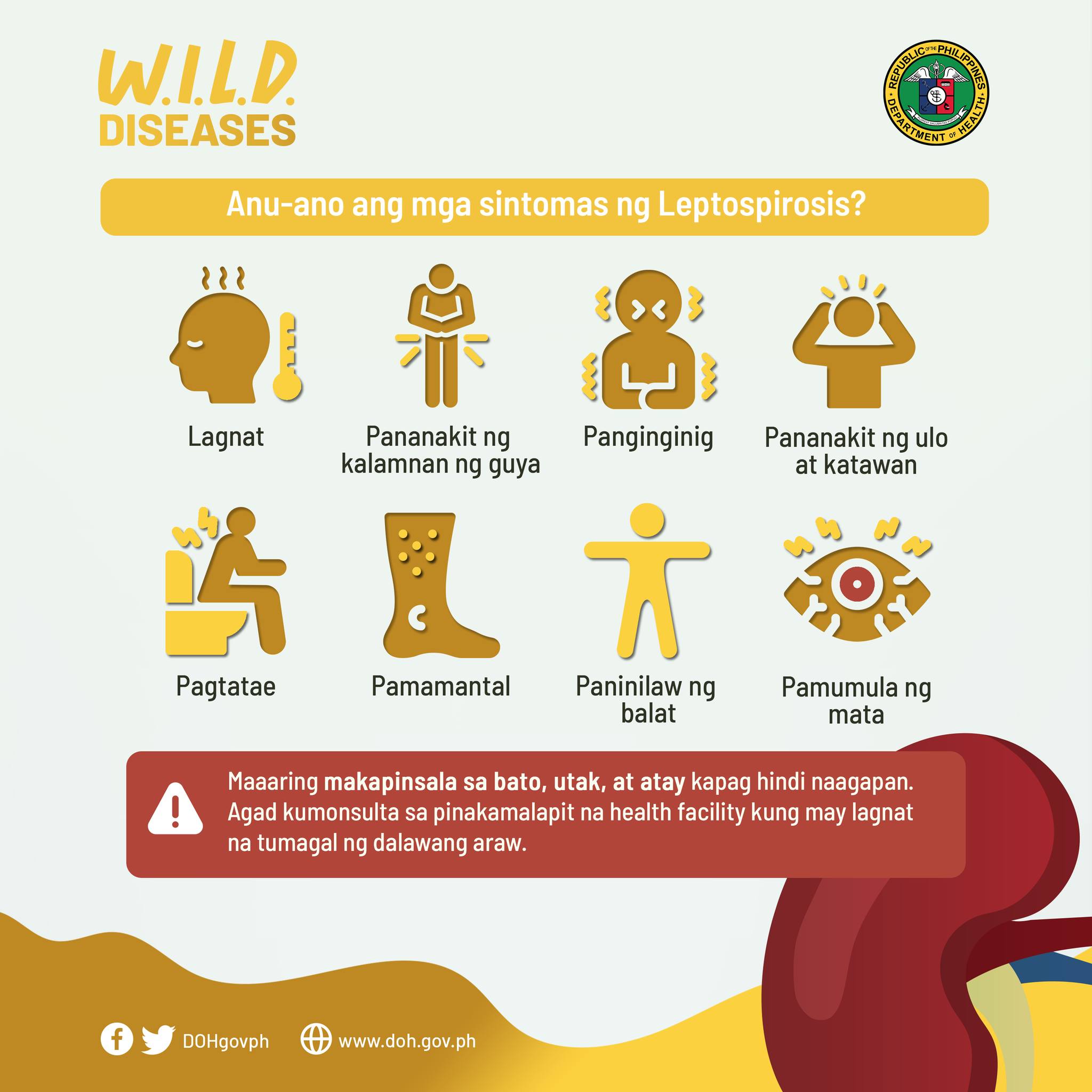 leptospirosis doh3